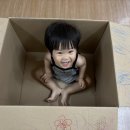 단양 어린이집 이미지