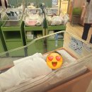 백용리 국도변 공중화장실 | 엘리움 산후조리원 2주 후기