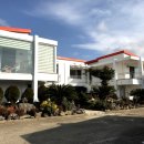 P-5312 | [기업문화] 플립인이 이야기하는 맛있는 제주도 여행