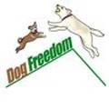 도그프리덤 이미지
