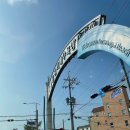 잽주다 복싱클럽 월곶점 이미지