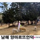 아라예술촌 | 남해 아이랑 가볼만한곳 양떼목장 양마르뜨언덕 먹이주기 체험 후기