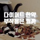 The슬림한약국 | 인천 다이어트한약 부작용 가격 식욕조절 단기간다이어트▶️The 슬림한약국 내돈내산후기