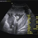 미즈맘산부인과의원 이미지