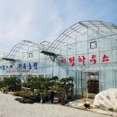 하늘다육농원