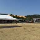 경주여자정보고등학교 병설유치원 이미지