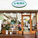 눈바래다