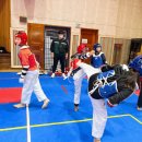 용인대능동태권도 이미지