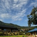 파도마을 삼냥이네 이미지