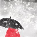 보따리 - 이천시 향교로120번길 15 | 보따리