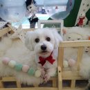 뭉치쌀롱 이미지