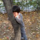 큐브마트 이미지