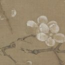 매화강산 이미지