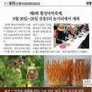 횡성더덕사랑 네이버블로그