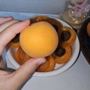 만금농장 | 여름 제철 과일 신선함이 남다른 초아농원 자연의시간 영천만금 살구 중과