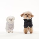 (주)피에이 이미지