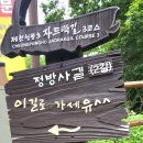 7월27일(토)제천 능강계곡 얼음골생태길(자드락길3코스) 이미지