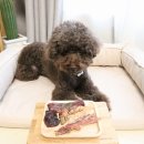 뚱이하우스 이미지