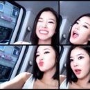 윤지애견 이미지