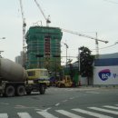 황령산 편백단지 이미지