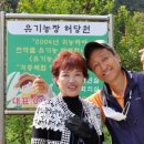 부부담다