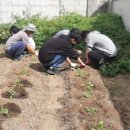 삼가중학교 이미지