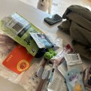 펫페스티벌 | 2025 안산 펫 페스티벌 펫티켓 운동회 부스 체험 후기