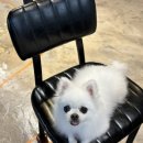 복실방앗간 이미지