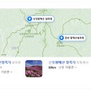 황매산가든 이미지