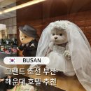 오션 | 그랜드 조선 부산 디럭스 파셜 오션뷰 트윈 후기 가격 아리아 조식