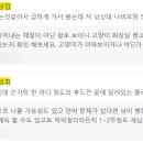 한수24시동물병원 네이버블로그