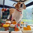 꾸메까까 | 강아지수제간식_꾸메까까,강아지수제케익 이제 편하게 먹어요!