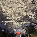 낙동제방 자전거도로 이미지