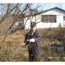 부대농장 이미지