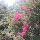 우면목욕탕 이미지