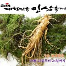 채리축산 | 2014 대한민국 인삼축제, 인삼음료 레시피 공모전, 인삼축제 이벤트, 인삼 맥주 빨리마시기 (서울 축제...
