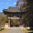 월산천 이미지
