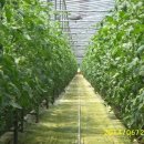 호용농장 이미지