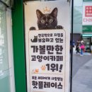 집사의하루 남포점 이미지