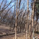 우장산둘레길 이미지