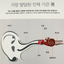 독일보청기 | 부산 중구 독일보청기 찐 방문후기 남포동보청기 찾는 분들 위한 쿨한 솔직 후기