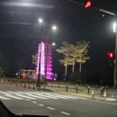 대실한의원 | 《 대추밭백한의원 》 5대 원장님 진료, 약 복용 후기