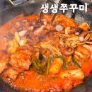 가촌새터길 | 양산 증산 맛집 생생쭈꾸미 양산물금점 솔직후기