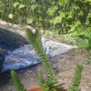 정동농업협동조합 이미지