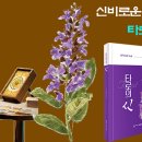 타로로 읽는 하루 이미지