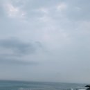 엠마트정육코너