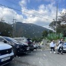 경보사슴 이미지