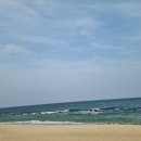 금봉횟집