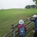 동해전망대 &amp; 실버벨교회 이미지