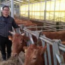 강진목장 이미지